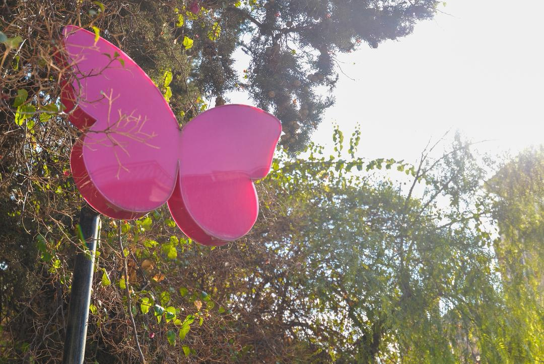 The SALAZA pink butterfly mascot